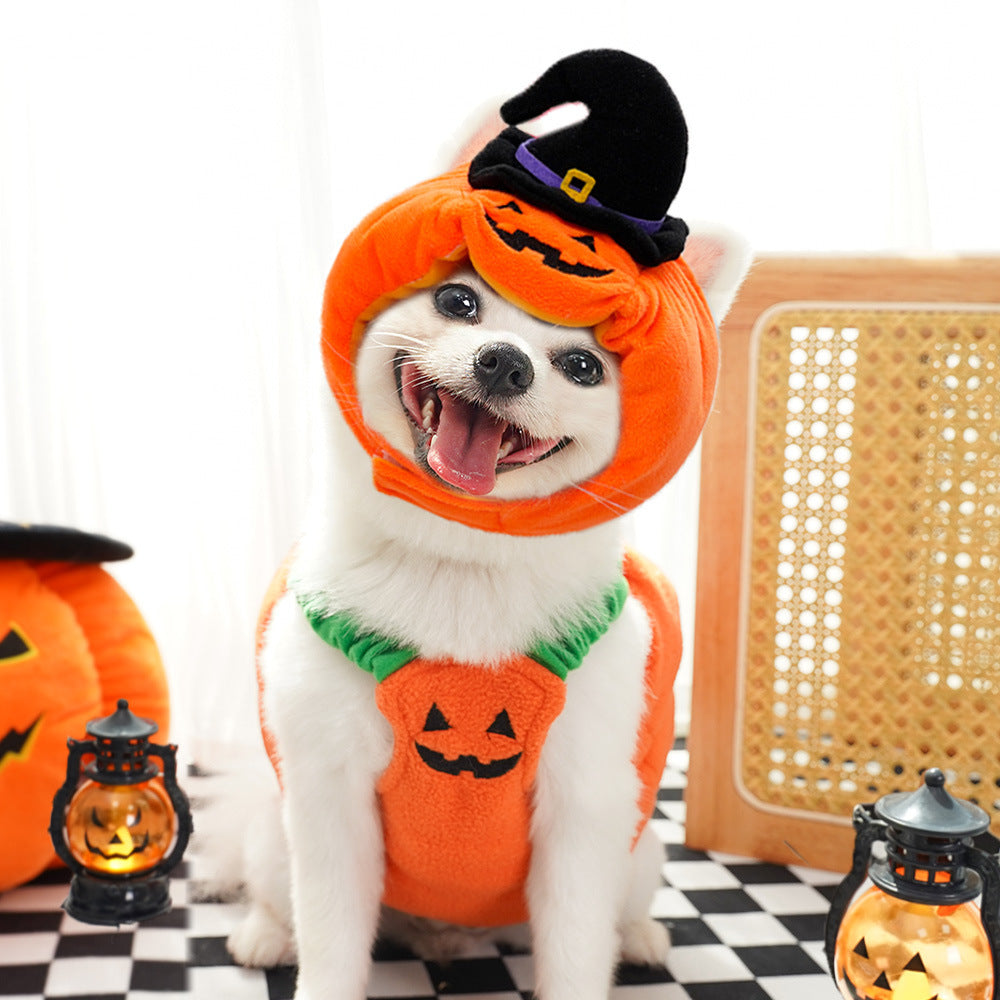 Dog Halloween transformation costume funny cat two-legged pet Teddy dog clothes supplies