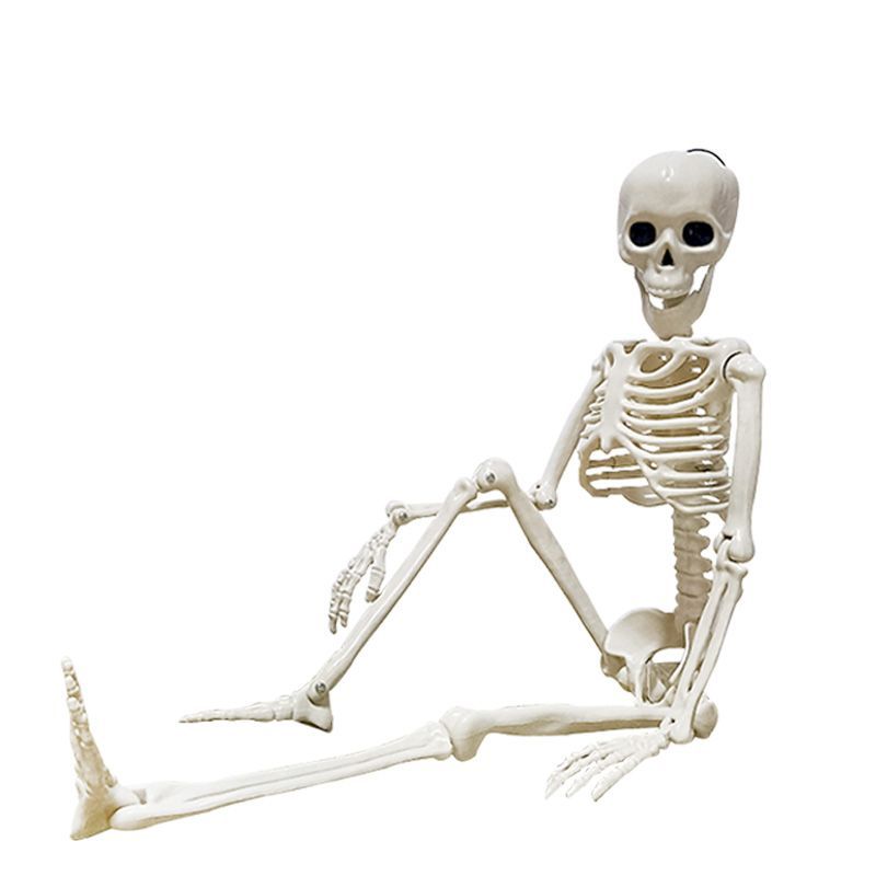 Halloween skeleton simulation human plastic skeleton decoration haunted house festival scene layout props