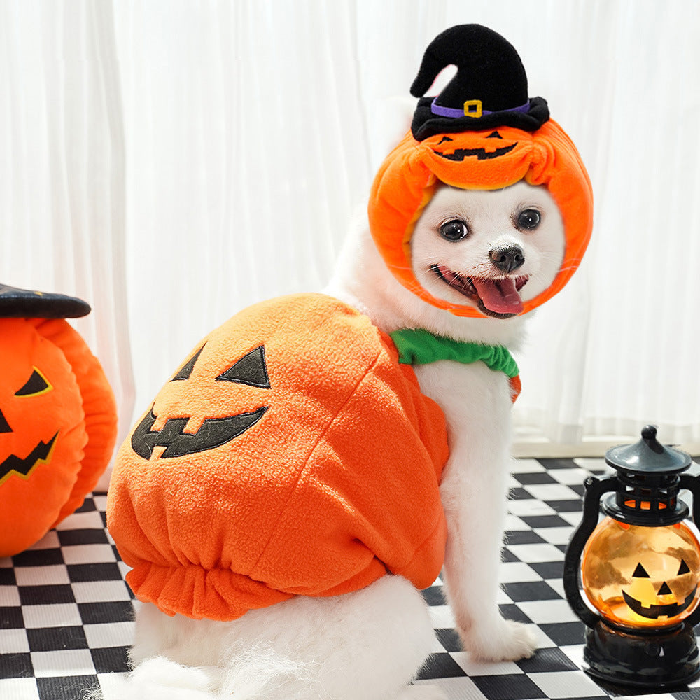 Dog Halloween transformation costume funny cat two-legged pet Teddy dog clothes supplies