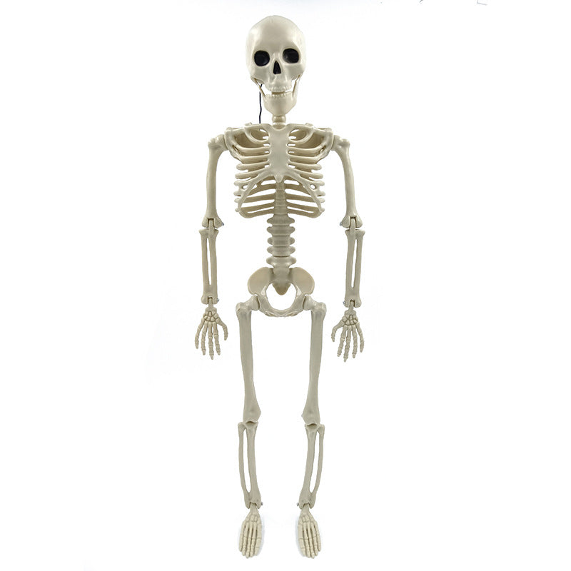 Halloween skeleton simulation human plastic skeleton decoration haunted house festival scene layout props