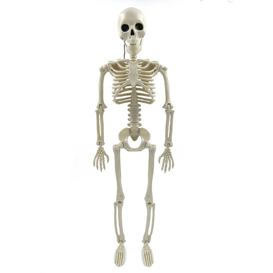Halloween skeleton simulation human plastic skeleton decoration haunted house festival scene layout props