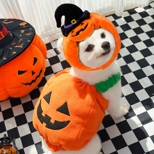 Dog Halloween transformation costume funny cat two-legged pet Teddy dog clothes supplies